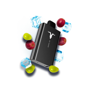 IGNITE V80 Grape Ice