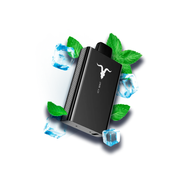 IGNITE V80 Fresh Mint