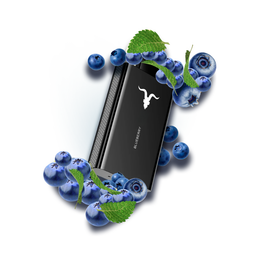 IGNITE V80 Blueberry Ice