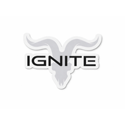 Pack 2 Stickers IGNITE