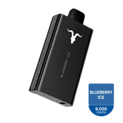 IGNITE V80 Blueberry Ice 8.000 Puffs