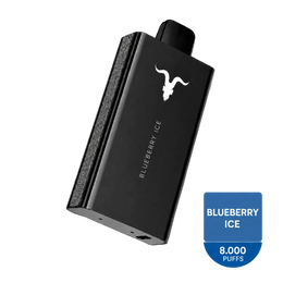 IGNITE V80 Blueberry Ice 8.000 Puffs