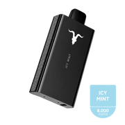 IGNITE V80 Icy Mint 8.000 Puffs