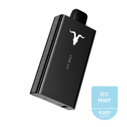 IGNITE V80 Icy Mint 8.000 Puffs