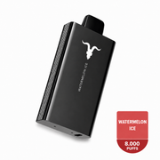 IGNITE V80 Watermelon Ice 8.000 Puffs