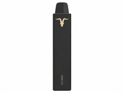 IGNITE VNANO Icy Mint 1.500 Puff